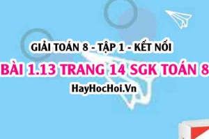 Bài 1.13 SGK Toán 8 tập 1 Kết nối tri thức